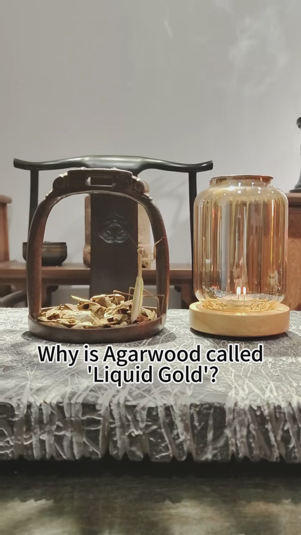 Natural Agarwood Chips Incense Kit, Oud Wood Aromatherapy Burner, Meditation Zen Decor