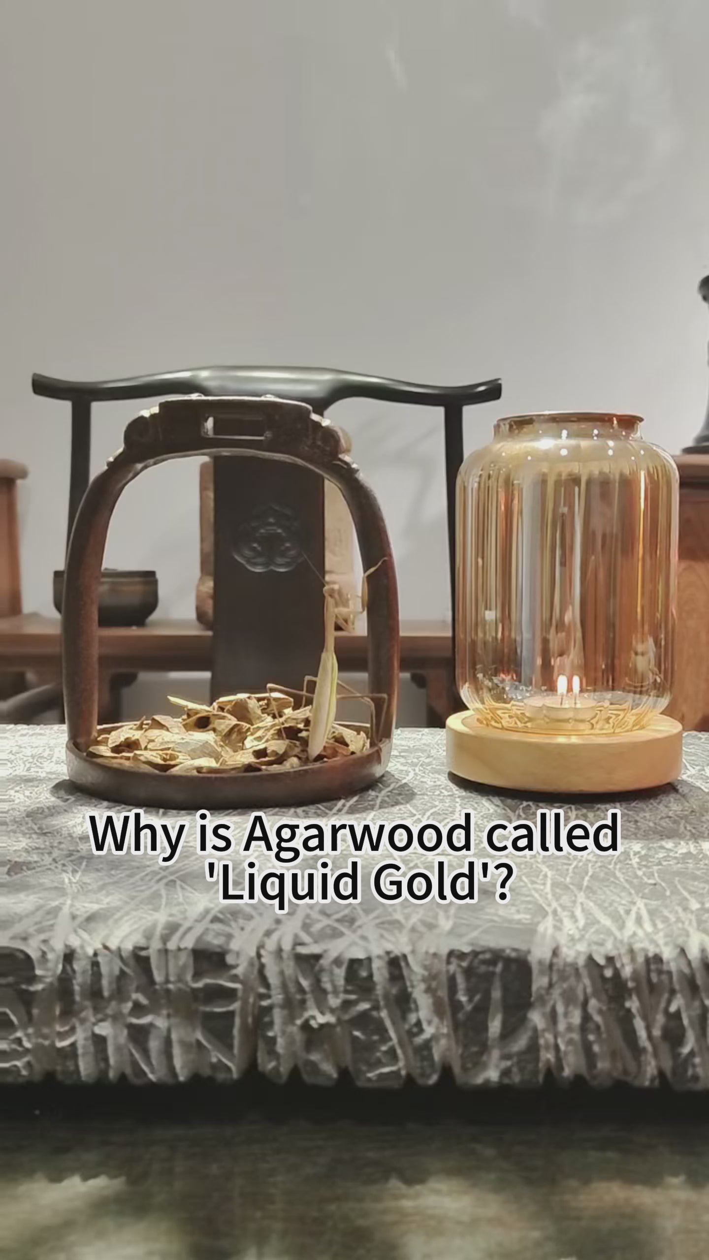 Natural Agarwood Chips Incense Kit, Oud Wood Aromatherapy Burner, Meditation Zen Decor